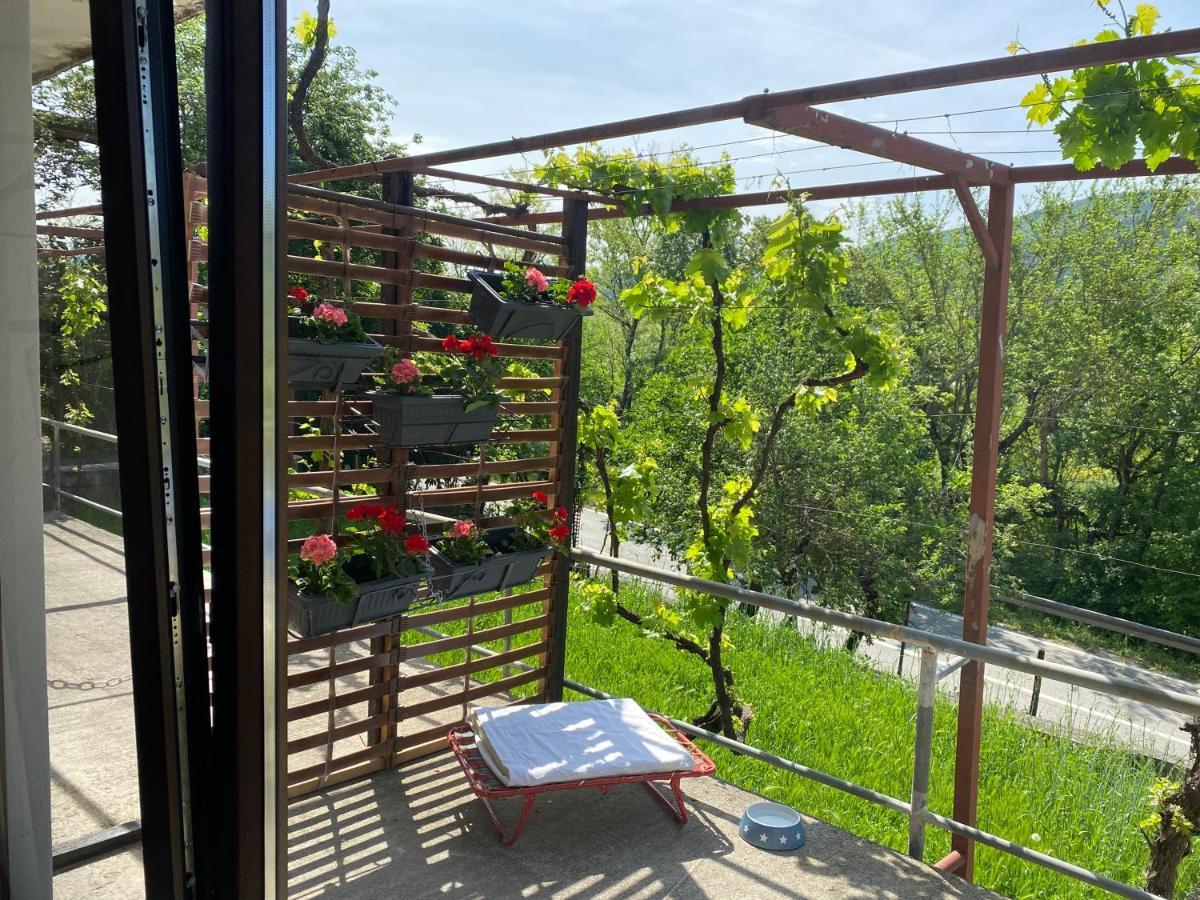 Apartman Verona 부젯 외부 사진