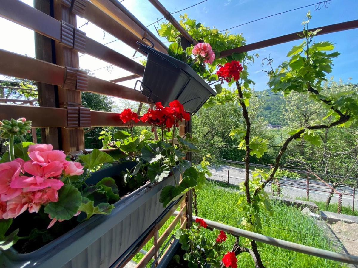 Apartman Verona 부젯 외부 사진